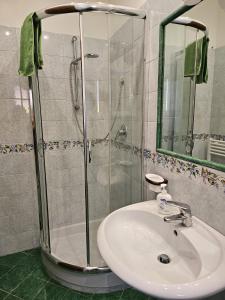 a bathroom with a sink and a glass shower at Naturoasi Resort in Belvedere Marittimo