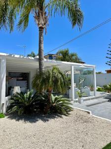 Zingarello的住宿－affittacamere Villa Masá，白色房子前面的棕榈树