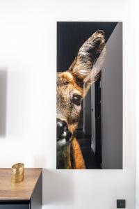 Zvířata v apartmánu nebo okolí