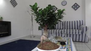 Fotografie z fotogalerie ubytování BlueMind Freedom v destinaci Tropea