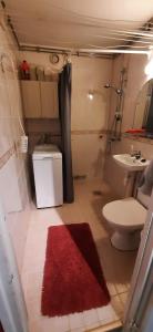 uma casa de banho com um WC, um lavatório e um tapete vermelho em Furnished 2 room appartment in Vasa em Vaasa