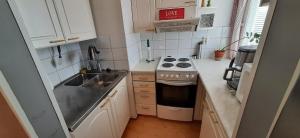 Furnished 2 room appartment in Vasa في فاسا: مطبخ صغير مع موقد ومغسلة