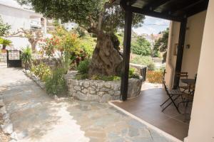 patio z drzewem w kamiennym sadzawce w obiekcie Petasos House - Garden - Sea View Renovated January 2024! w mieście Sellía