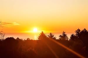 a sunset over the ocean with trees in the foreground at Casa de Campo con vista al mar in Chanco