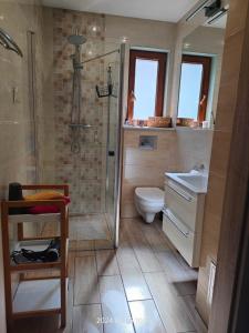 a bathroom with a shower and a toilet and a sink at Kopalino Czapli 10 in Kopalino