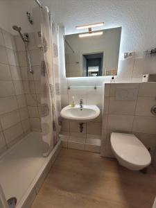 グローセンブローデにあるVier Jahreszeiten 3-83のバスルーム(洗面台、トイレ、鏡付)