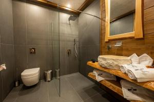 uma casa de banho com um chuveiro, um WC e um lavatório. em V Chalet Residence em Velingrad