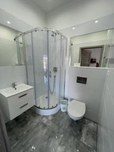 a bathroom with a shower and a toilet and a sink at Appartement in Paprotno mit gemeinsamem Pool, Grill und Terrasse in Gąski