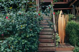 a wooden stairway with a bush of red roses at Luxury Villa Rainforest Estate with Pond in Bocas del Toro