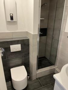 a bathroom with a toilet and a shower at Kleine Auszeit in Altenau