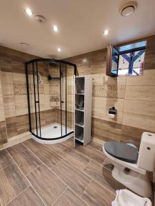 uma casa de banho com um chuveiro e um WC. em Apartmán HRANICE - Hřensko em Hřensko