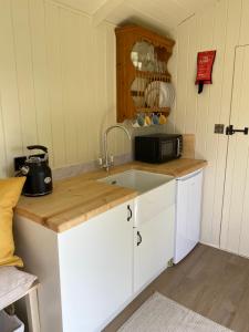 a kitchen with a sink and a microwave at Willow Shepherd Hut in West Row