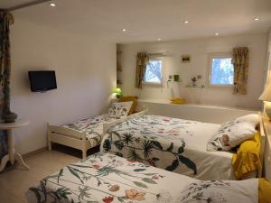 1 Schlafzimmer mit 2 Betten und einem TV an der Wand in der Unterkunft Villa Coronille calme et nature in Entrecasteaux