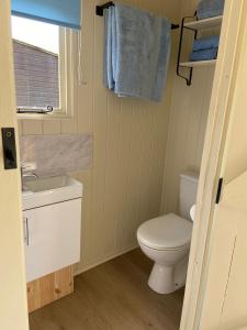 a bathroom with a toilet and a sink and a window at Willow Shepherd Hut in West Row