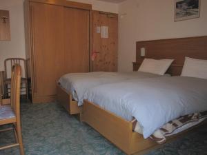 Postel nebo postele na pokoji v ubytování Hotel Presena