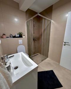 uma casa de banho com um lavatório e um chuveiro em APARTMAN 3 em Brčko