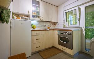 Kuchyň nebo kuchyňský kout v ubytování Lovely Home In Sisinec