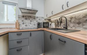 Η κουζίνα ή μικρή κουζίνα στο Cozy Apartment In Vir With Wifi
