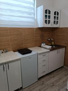 Kuchyň nebo kuchyňský kout v ubytování Stan u centru 1