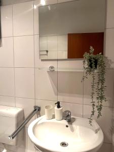 een badkamer met een wastafel, een spiegel en een toilet bij Penthouse Apartment Dortmund City in Dortmund