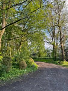 Le Pellegrin في Halluin: طريق في حديقة فيها أشجار وعشب