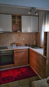 Küche/Küchenzeile in der Unterkunft Apartman Jovanovic