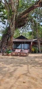 two benches on a swing under a tree at Bamboo Cottages in Phu Quoc