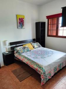 1 dormitorio con 1 cama en una habitación en Casa Serena, en Llanos de la Concepción