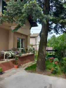 a house with a tree in the yard at Стаи за гости - Цветето на Ангела in Bankya