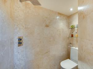 ein Bad mit einem WC und einer Dusche in der Unterkunft 1 bed property in Bedale G0053 in Hornby
