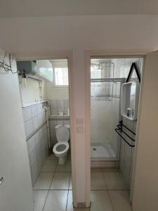 ein kleines Bad mit einem WC und einer Dusche in der Unterkunft Superbe et sympa in Neuilly-Plaisance