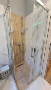a shower with a glass door in a bathroom at Clar studio 1 in Braşov