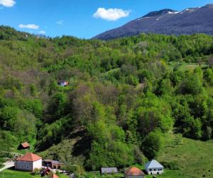 vistas a una colina con casas y árboles en Ethno Village Adžić en Mojkovac