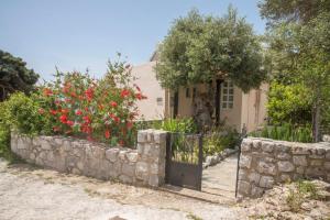 Vonkajšia záhrada v ubytovaní Petasos House - Garden - Sea View