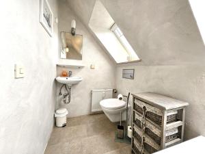 een badkamer met een toilet, een wastafel en een dakraam bij Design Apartment Grünwald große Wohnung auf 2 Etagen in Hahnenklee-Bockswiese +14 foto's