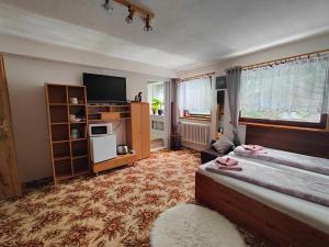 a bedroom with a bed and a tv in a room at Mezná 85 in Hřensko
