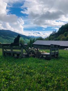 un chat noir assis sur un banc dans un champ dans l'établissement River side SVANETI, à Mestia