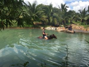 Una donna che cavalca un cavallo in acqua di Tiki garden a Kampot