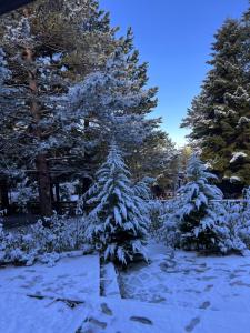 Fotografie z fotogalerie ubytování Hotel Alpin Llogara v destinaci Llogara