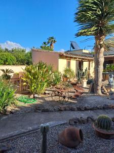 Zahrada ubytování Agradable Casa Rural