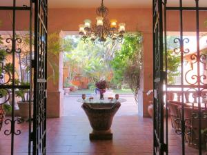 a door open to a courtyard with a large plant at Casa Rosa Amelia in Guadalajara