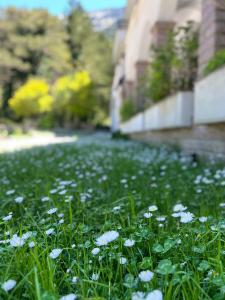 Fotografie z fotogalerie ubytování Hotel Alpin Llogara v destinaci Llogara