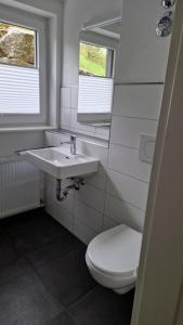 a bathroom with a sink and a toilet and a mirror at FEWO klein mit Garten in Feldberg