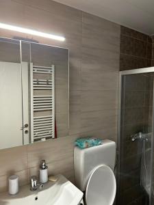uma casa de banho com um WC, um lavatório e um espelho. em GJP em Skopje