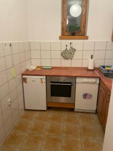 Kuchyň nebo kuchyňský kout v ubytování Lovely bright Apartment with Backyard-renovated!