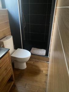 a small bathroom with a toilet and a shower at 50 m2 Vue Loire avec parking in Orléans