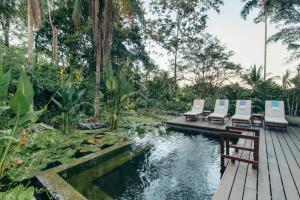 Luxury Villa Rainforest Estate Natural Swim Pond في بوكاس تاون: مجموعة من الكراسي جالسين على جسر فوق بركة