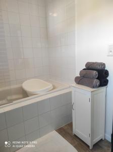 y baño con aseo, lavabo y toallas. en Les Hôtes Pyrénées, en Capvern