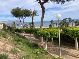 un lampione accanto a una spiaggia con palme di El Amanecer de Cabo Tiñoso a Puerto de Mazarrón