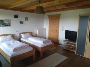 a bedroom with two beds and a television at Arbeiterwohnung Entbuchner Hof in Rohrdorf